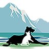 Pacific Heights Veterinary Hospital