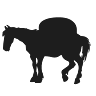 Pack Horse Inn