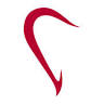 Padova Dental Clinic | Dr. Denis Cecchinato