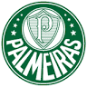 CT Palmeiras - Academia de Futebol 2