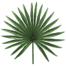 Palmera Spa