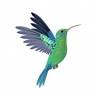Panama for Life - We help you find the perfect lifestyle in Panama