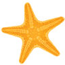 Palms of Destin by Panhandle Getaways