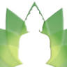 200, 300 Hour Yoga Teacher Training Nepal - Pankaj Yogpeeth