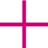 pankraz 1499
