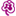 Pansy Shinyokohamapurinsupepe