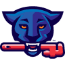 Panther Plumbing