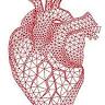 Dott. Paolo D'Arrigo, Cardiologo