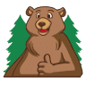 Papa Bear Car Wash