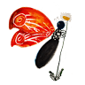 Papilio clothing