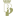 Palmenrestaurant Pakhotel Pörtschach