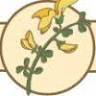 Pastificio La Ginestra srl