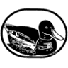 Patterson's Clothing