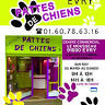 Pattes de Chiens