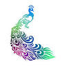 Pavo Spa