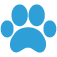 The Pawfect Place Doggy Day Care and Spa