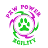 Paw Power Agility Equipment