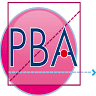 PBA Electricité