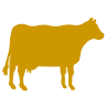 PBS Animal Health