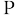 Park County Community Foundation