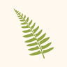 Peninsula Credit Union