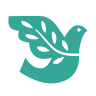 Peacehealth Medical: Lam Kelvin MD