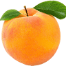Peach Orchard RV Park & Campground