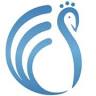 Peacock Accounting Services Pty Ltd