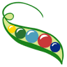 Peapod Jewelry