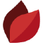 Pearland Insurance