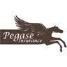 Pegase Insurance
