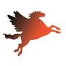 PEGASUS PLANNING