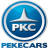 PEKECARS, JUGUETES Y OCIO S.L.