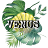 Peluquería Unisex Venus