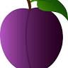 Penelope Plum Designs