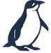 Low Head Penguin Tours