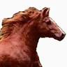 Pennal Stud