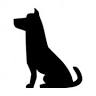 Peninsula Pet Hospital