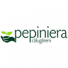 Pepiniera Călugăreni