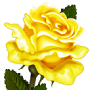 Peppler Funeral Home
