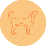 Perfect Pooches - Dog Behaviour Training East Sussex