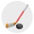 Perfect World Hockey Training