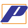 Performance Auto Electric