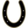 Performance Equine Mobile Veterinary Services PLLC
