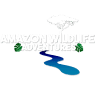 Amazon Wildlife Adventures