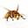 Pest All Exterminating