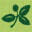 Petitti Garden Centers