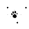 PetRad