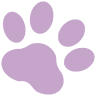 PetVet Clinic