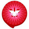 Protestantse Gemeente Lelystad